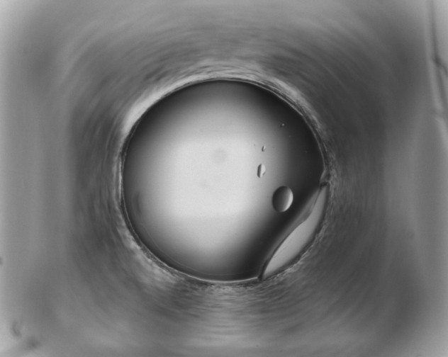 X0000103281520200808291300