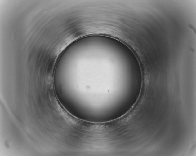 X0000103281521200808291300