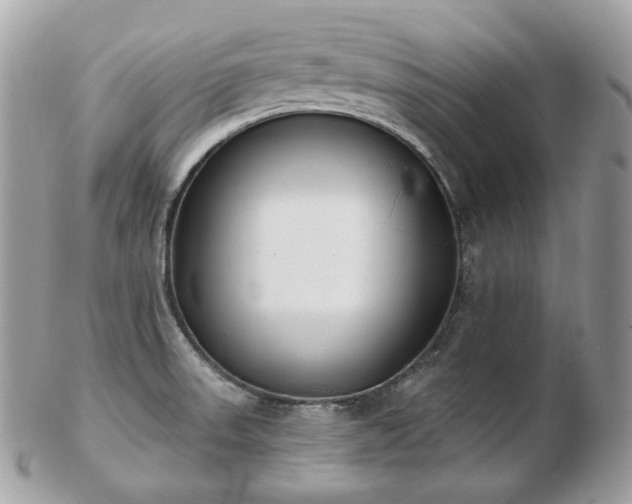 X0000103281523200808291300