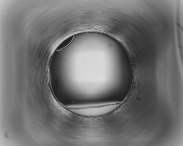 X0000103281524200808291300