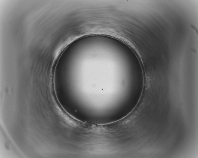 X0000103281525200808291300