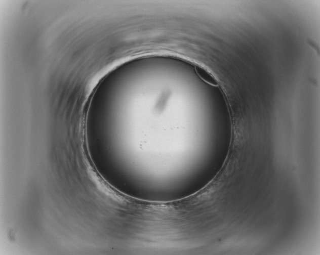 X0000103281526200808291300