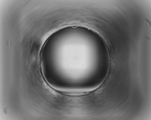 X0000103281527200808291300