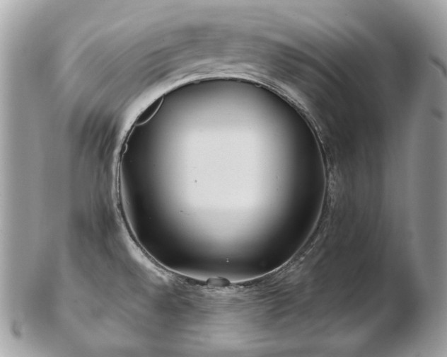 X0000103281528200808291300