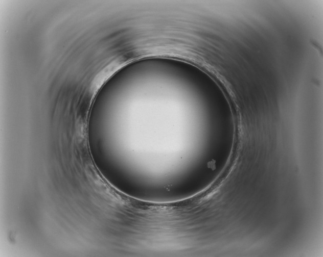 X0000103281529200808291300