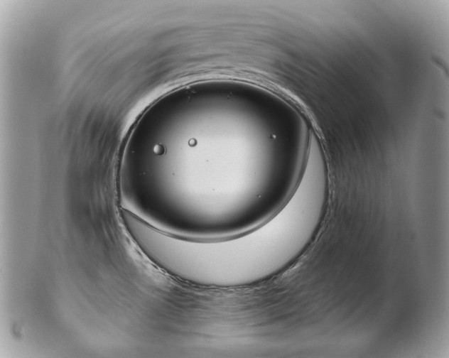 X0000103281530200808291300