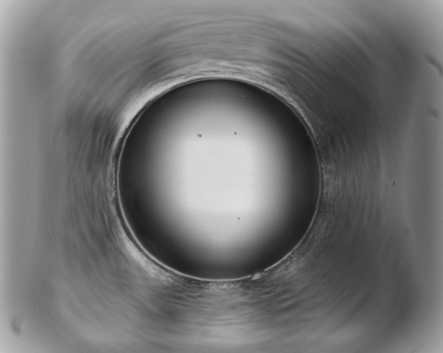 X0000103281531200808291300