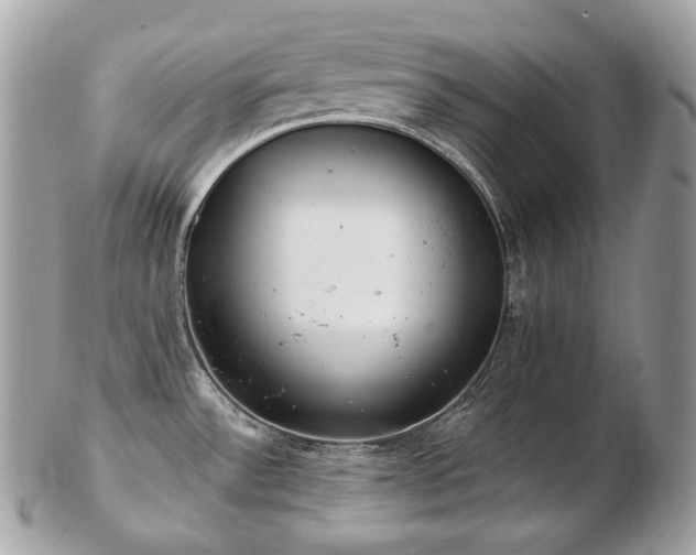 X0000103281532200808291300