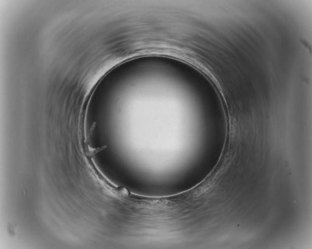 X0000103281533200808291300