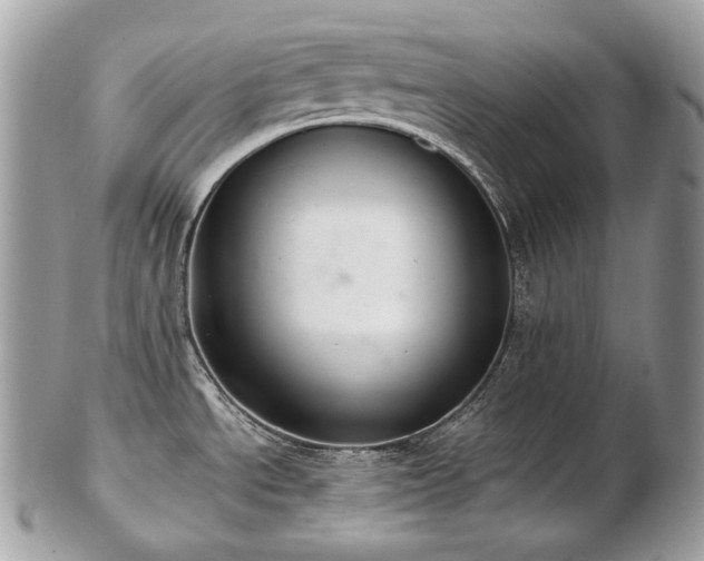 X0000103281534200808291300