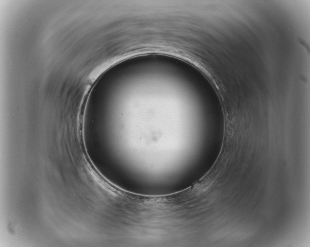 X0000103281535200808291300