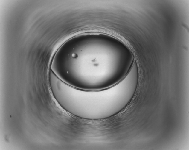 X0000103281536200808291300