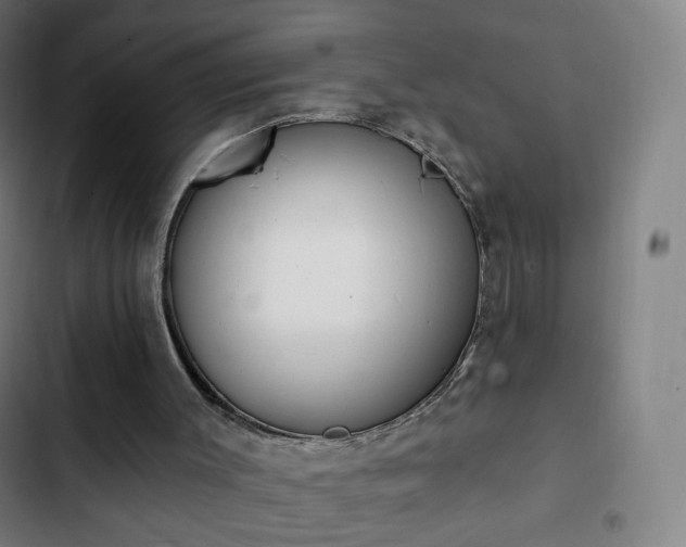 X0000103280003200809051541