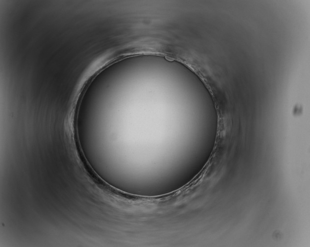 X0000103280004200809051541