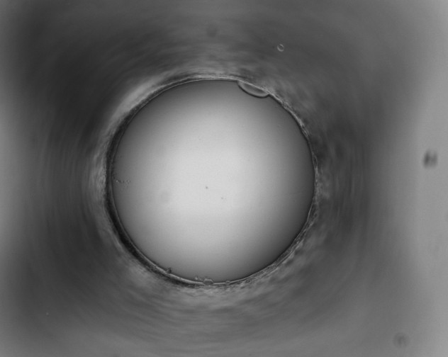 X0000103280005200809051541