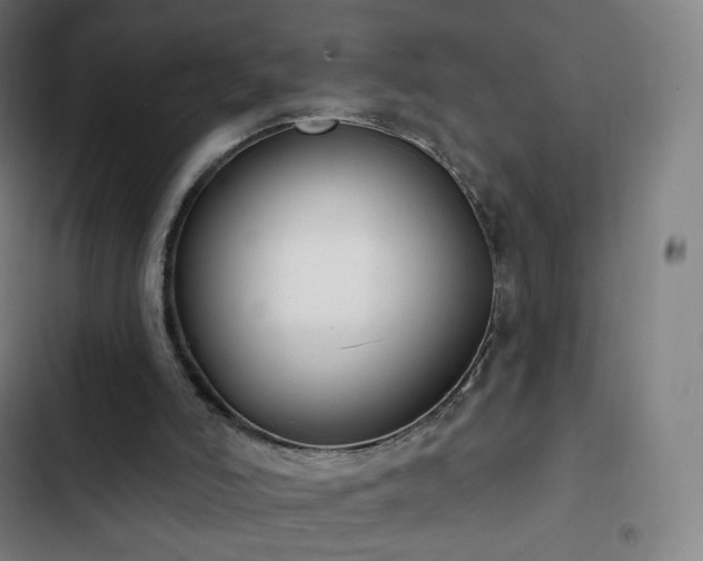 X0000103280006200809051541