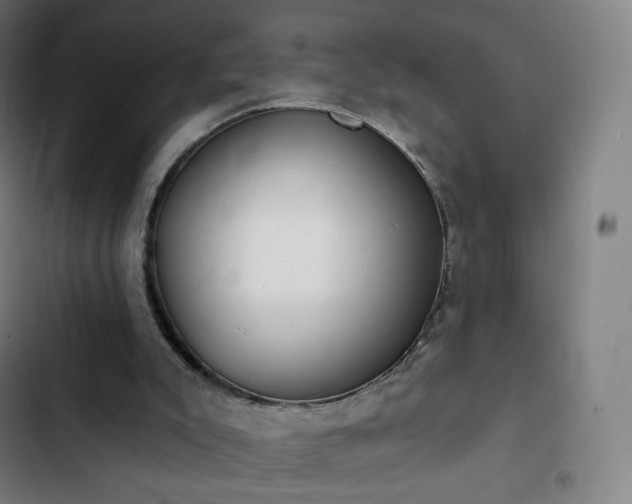 X0000103280007200809051541