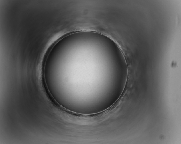 X0000103280008200809051541