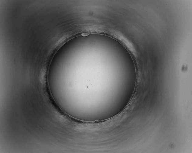 X0000103280009200809051541