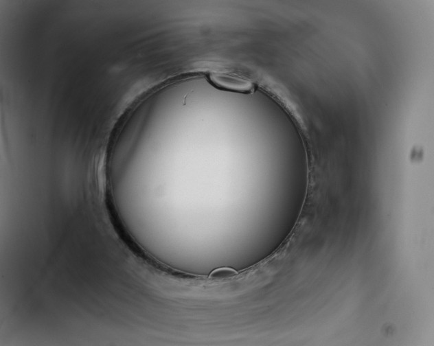 X0000103280011200809051541