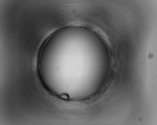 X0000103280012200809051541