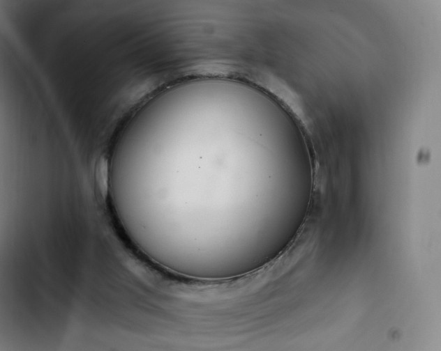 X0000103280013200809051541