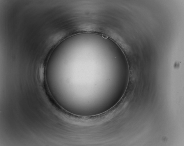 X0000103280014200809051541