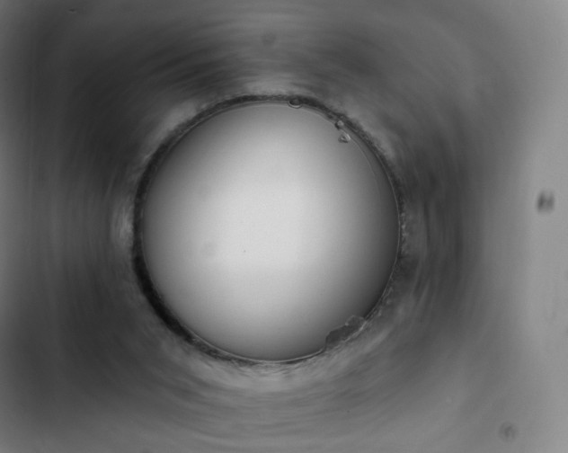 X0000103280015200809051541