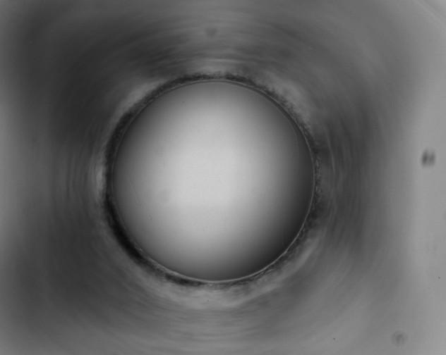 X0000103280016200809051541