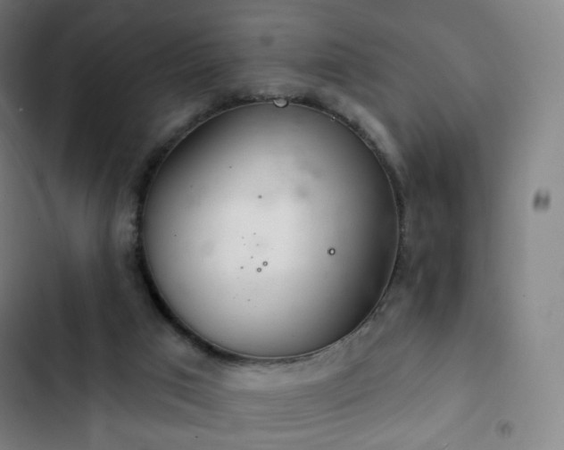 X0000103280017200809051541