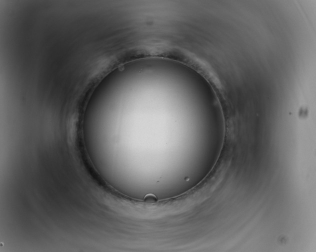 X0000103280018200809051541