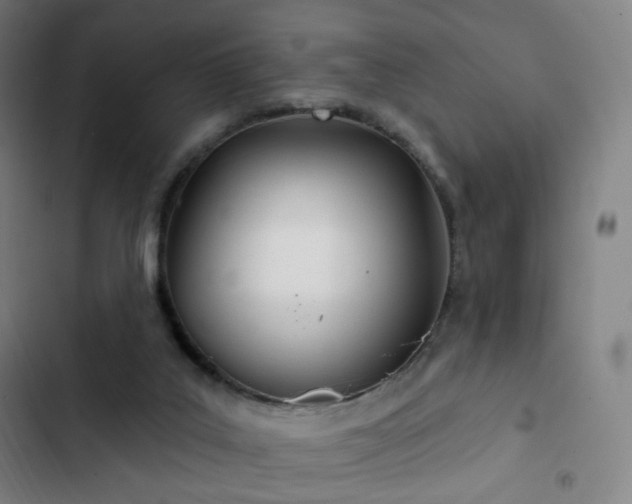 X0000103280019200809051541