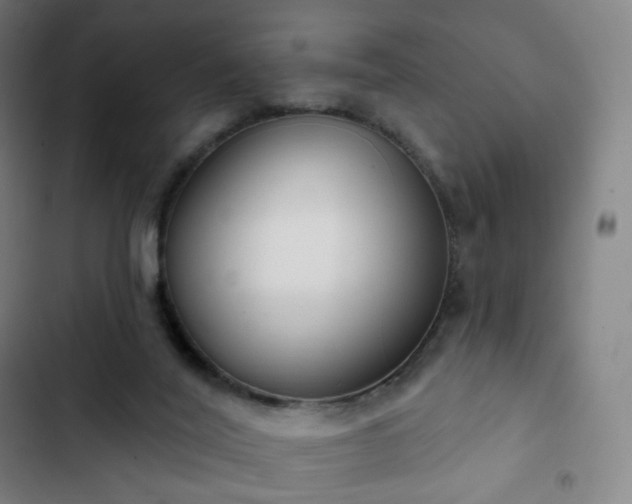 X0000103280020200809051541