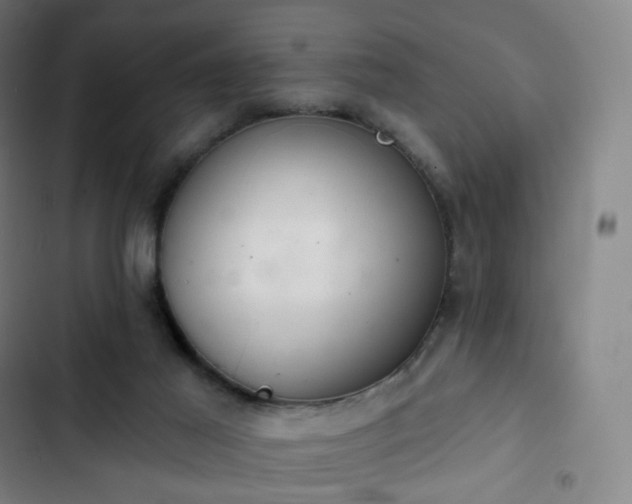 X0000103280021200809051541