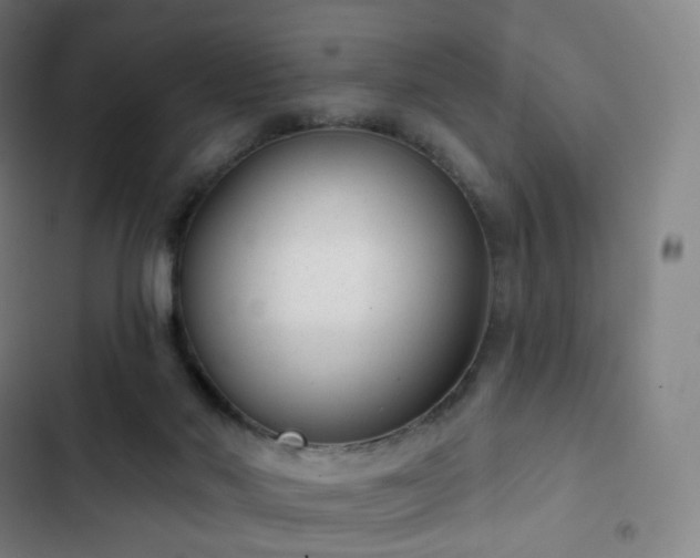 X0000103280022200809051541