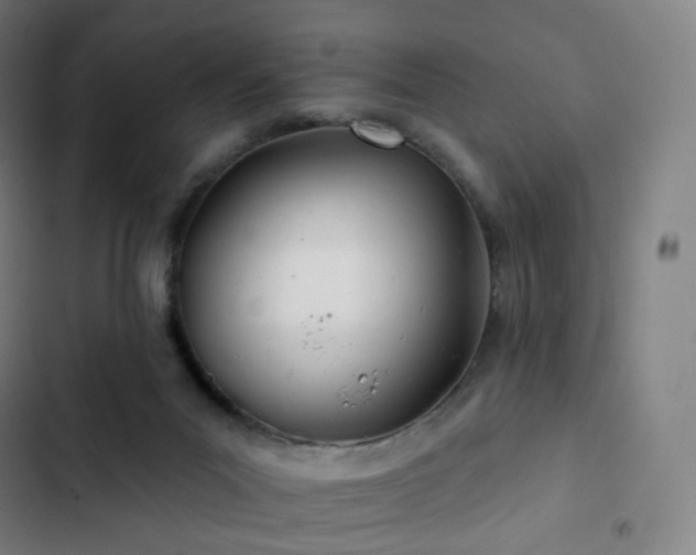 X0000103280023200809051541