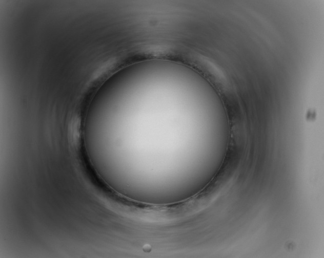 X0000103280024200809051541