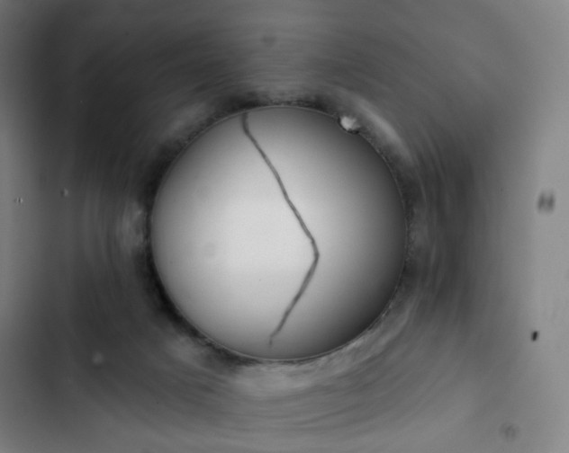 X0000103280025200809051541