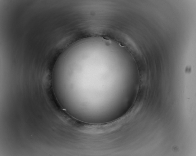 X0000103280029200809051541