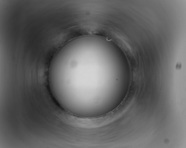 X0000103280030200809051541