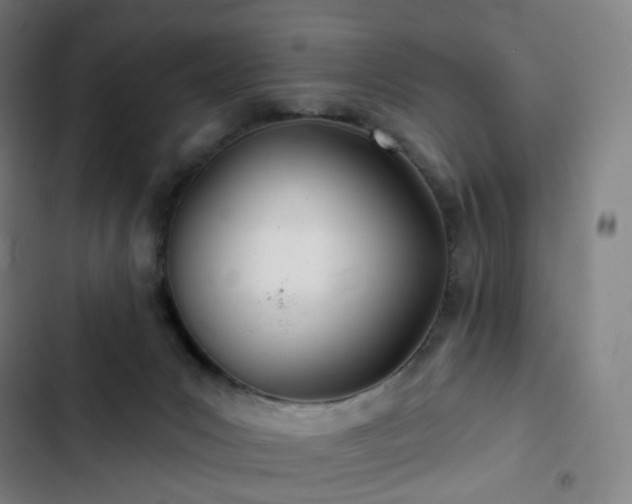 X0000103280031200809051541