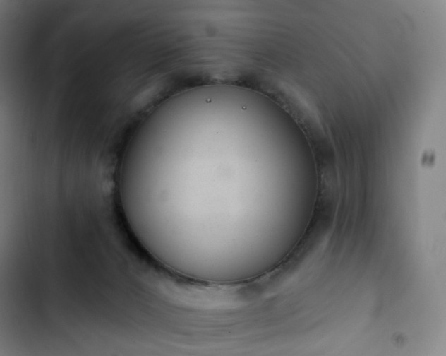 X0000103280032200809051541