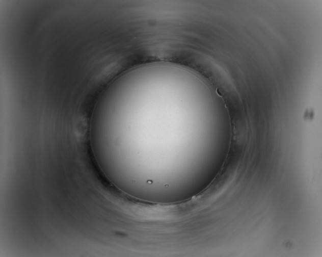 X0000103280036200809051541