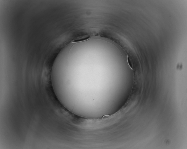 X0000103280037200809051541