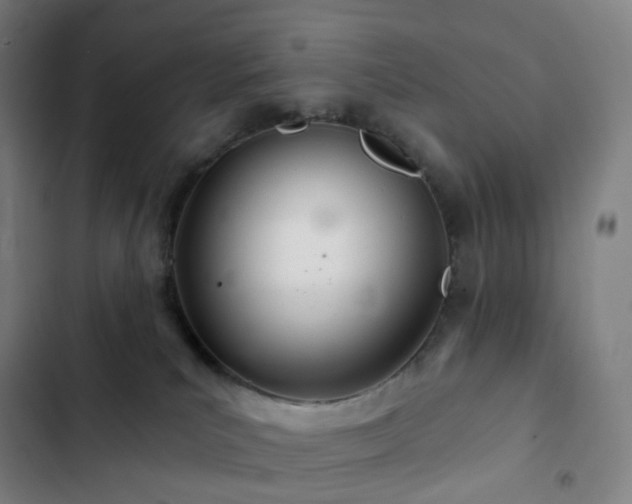 X0000103280039200809051541