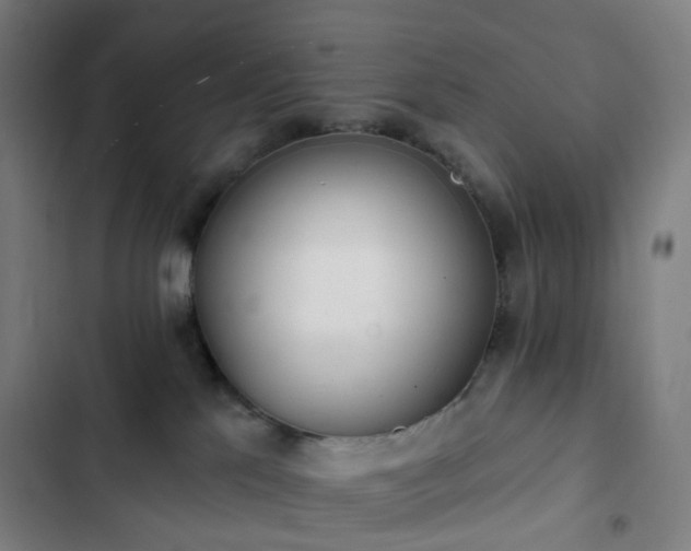 X0000103280041200809051541