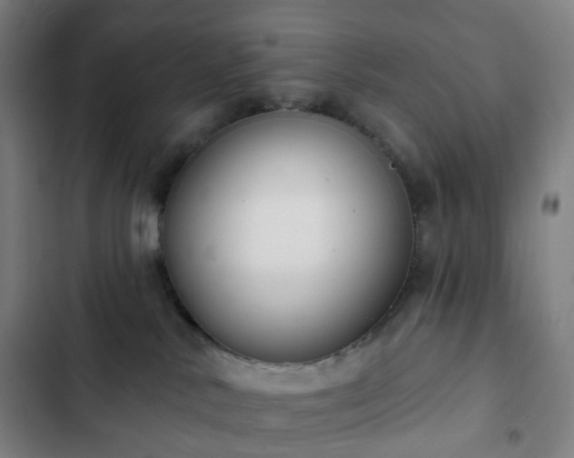 X0000103280042200809051541