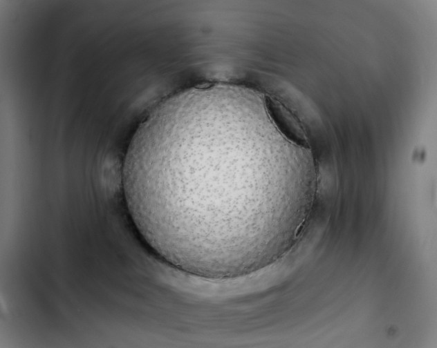 X0000103280043200809051540