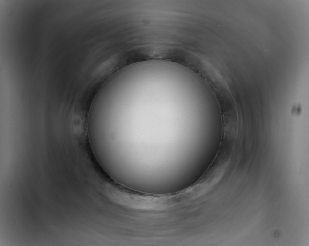 X0000103280044200809051540