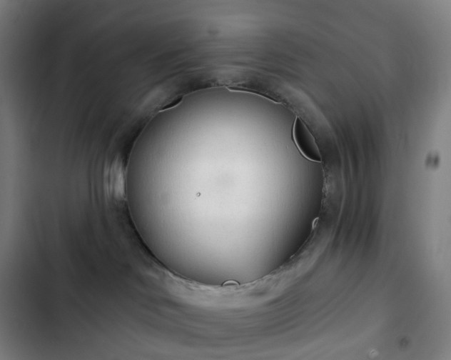 X0000103280046200809051540